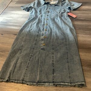 Denim Button-Front Women’s Dress - Blue
